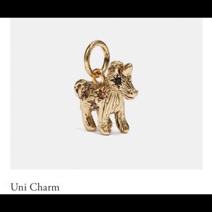 COPY - NWT Coach Uni Charm